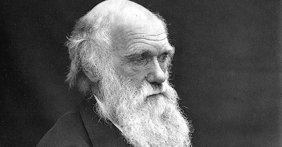 New Study Disapproves Darwin’s Theory Regarding the Origin of Life